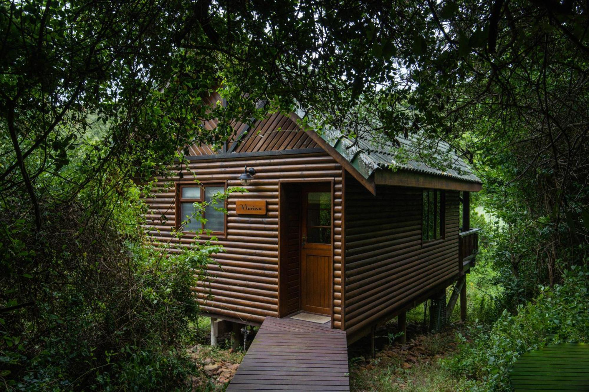 Thunzi Bush Lodge Beachview Exterior photo